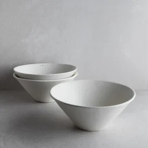 Ramen Bowl（拉面碗）